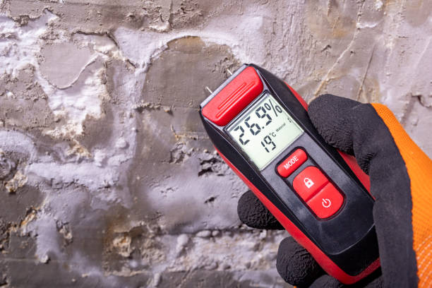 Best Water Damage Restoration  in Wayne, OH